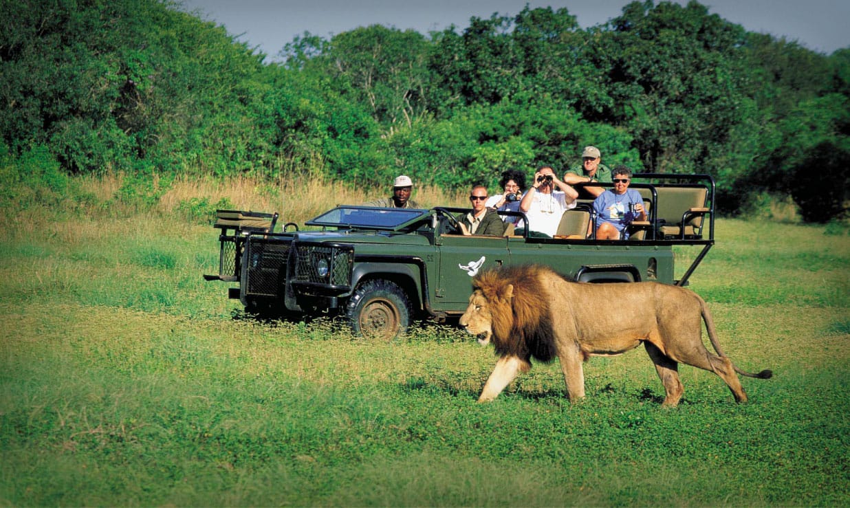 Quoi mettre dans sa valise pour un safari en Afrique du Sud ?